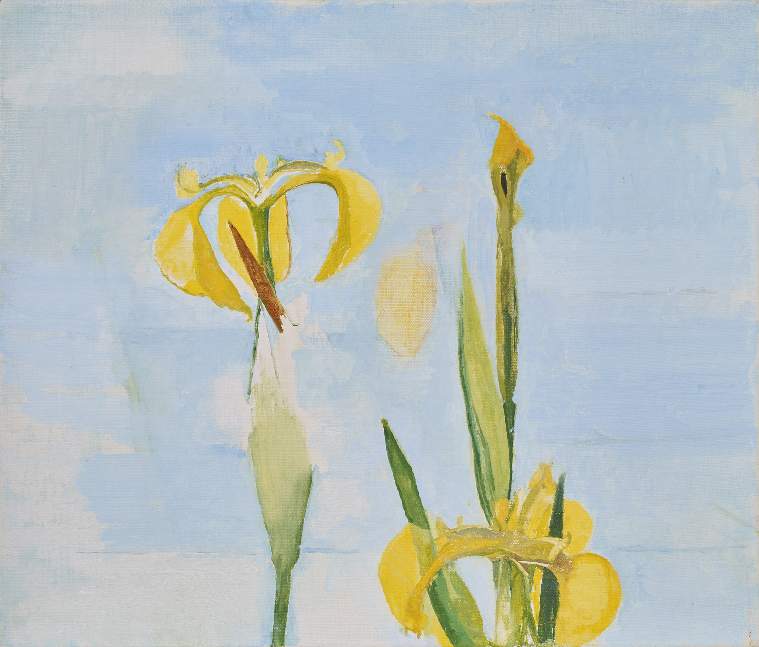 A May Day, Yellow Flag