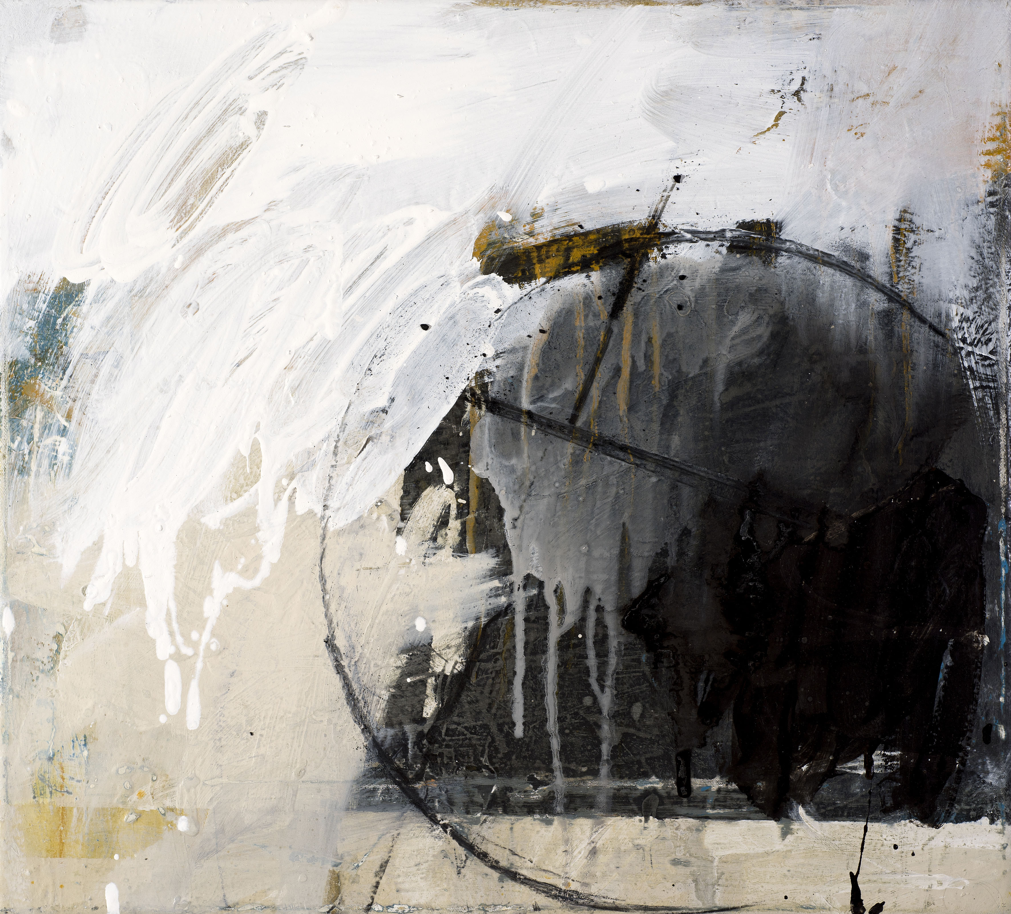 Study 5 Plashy Place Series