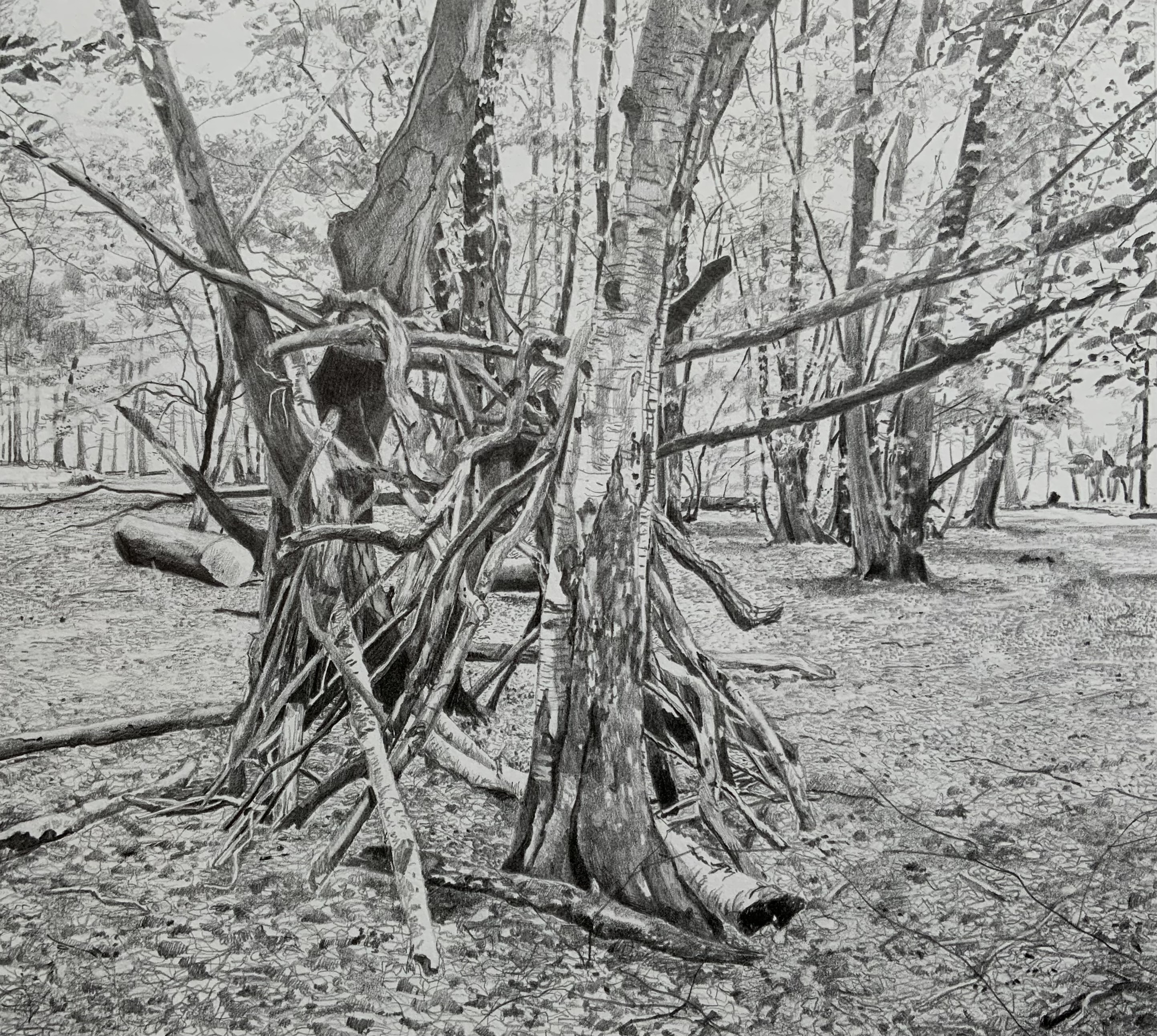 Where There Are Sticks, They Will Build