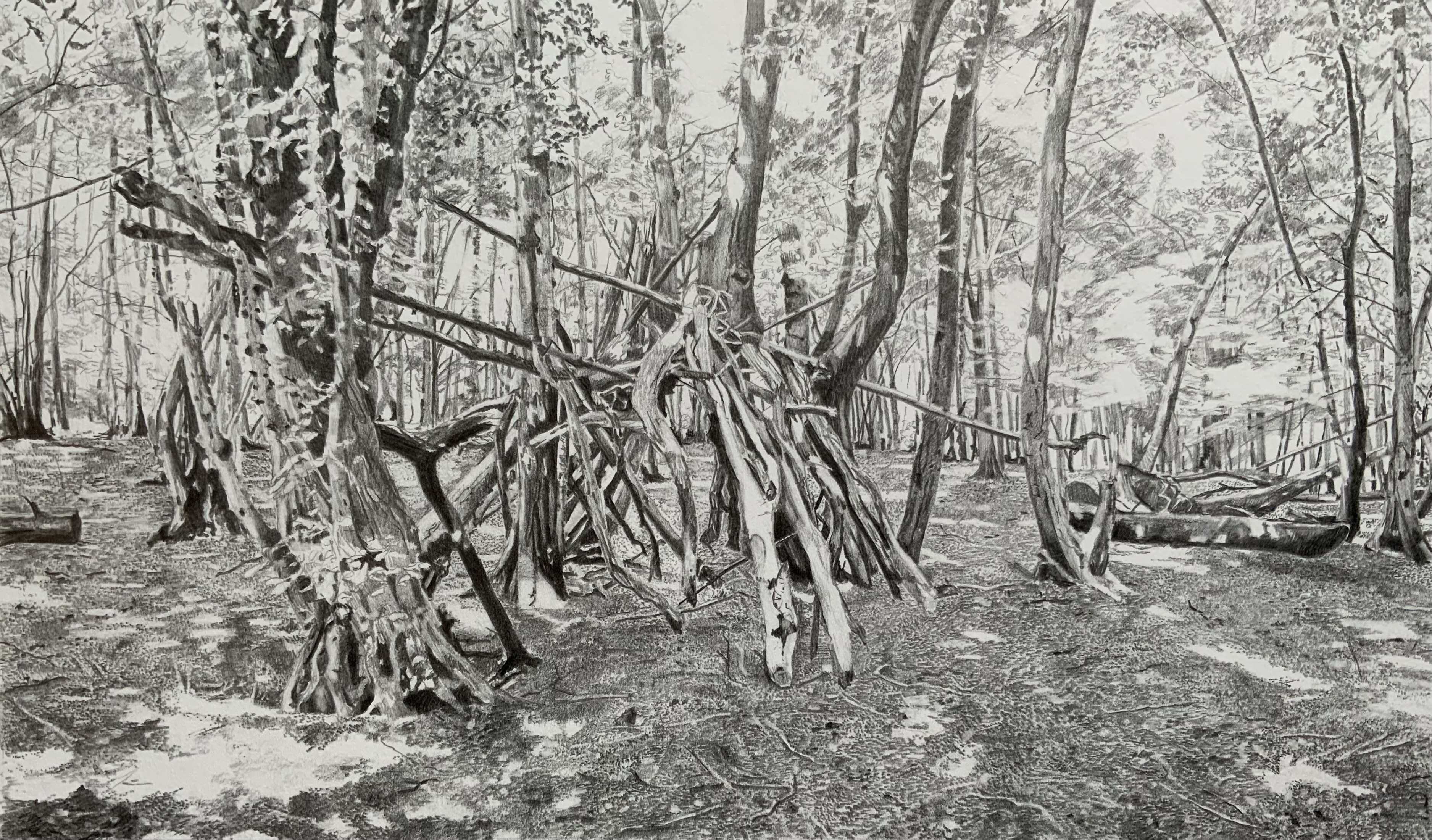 Where There Are Sticks, They Will Build 2