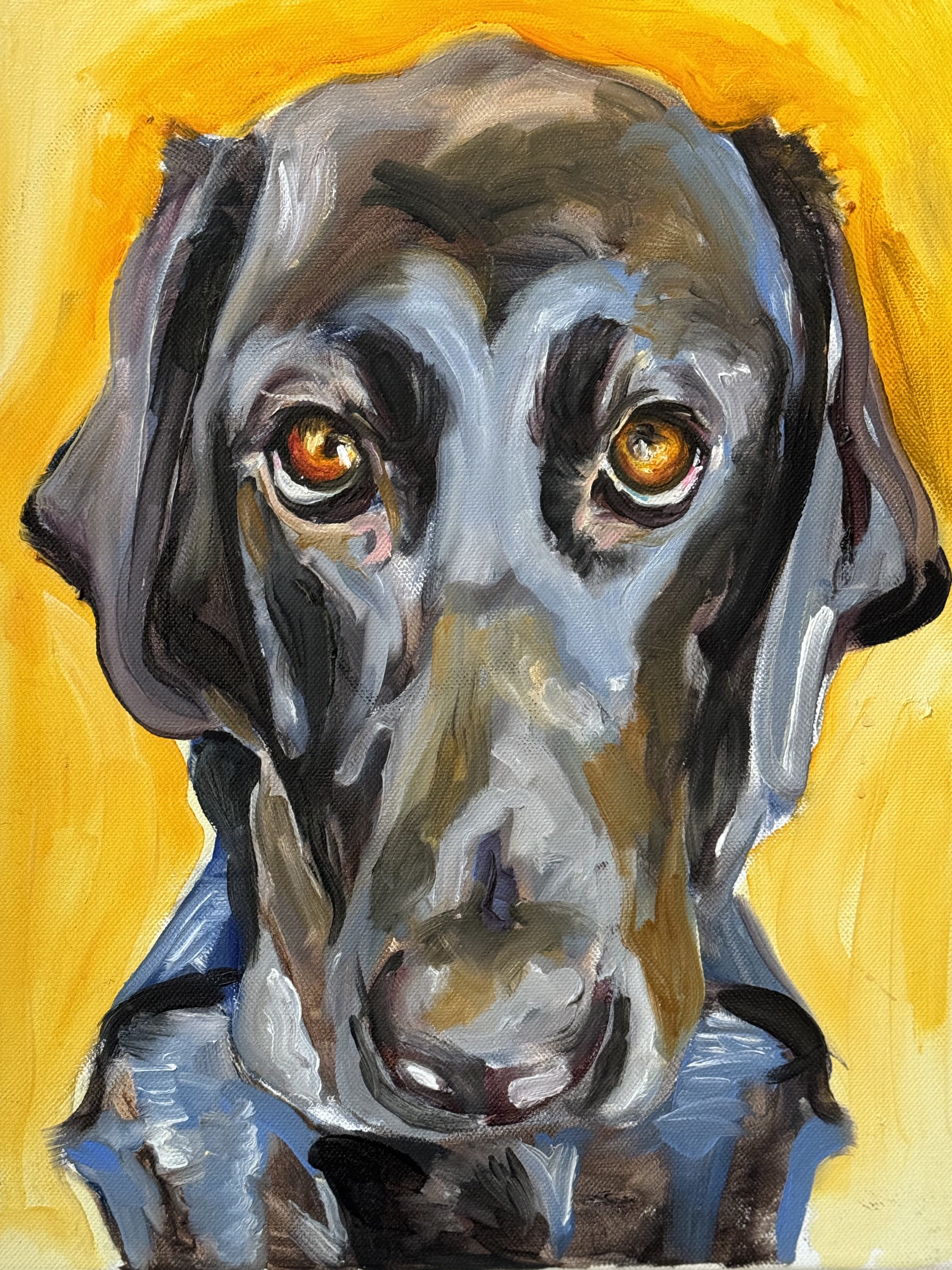 Smooch, the Black Labrador