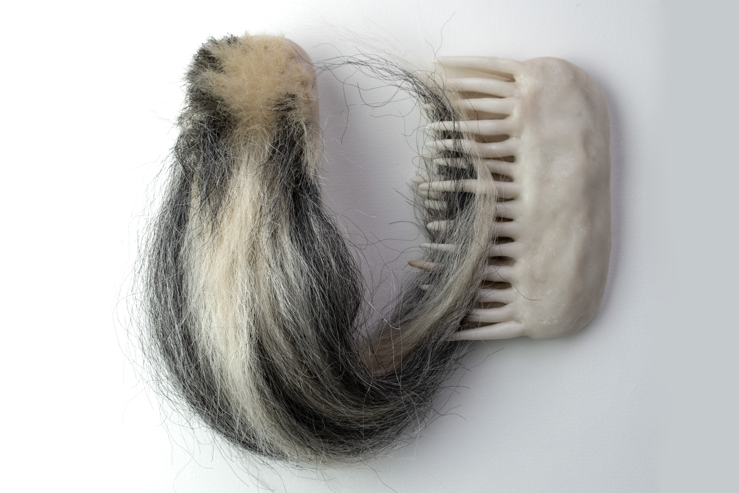 Cellular Dreams, Grooming l