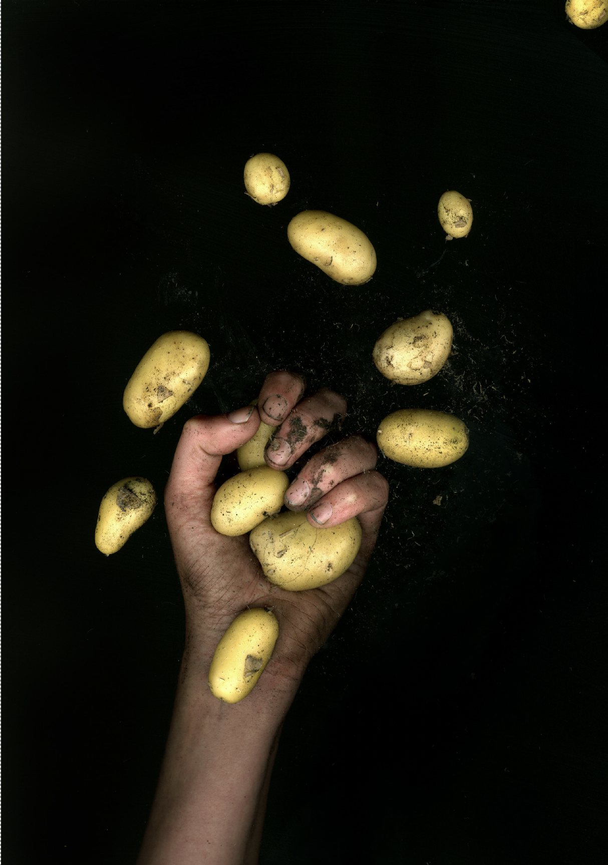 October (Cropped Series)